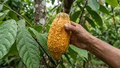 Wetenschappelijke ontdekking: dit product is gekoppeld aan langzamere veroudering