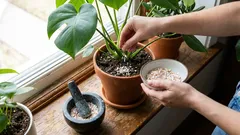 Gooi het niet weg! Keukenafval dat geld bespaart en je huis en tuin helpt